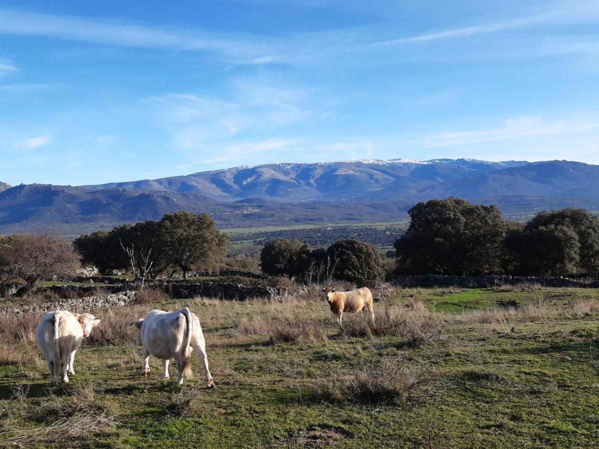 Valdefuentes de Sangusín Casa Rural Mi Descanso المظهر الخارجي الصورة
